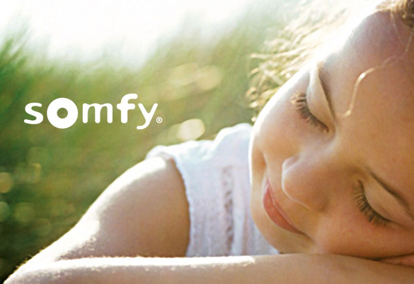 Somfy Marketing Collaterals and POS System Design