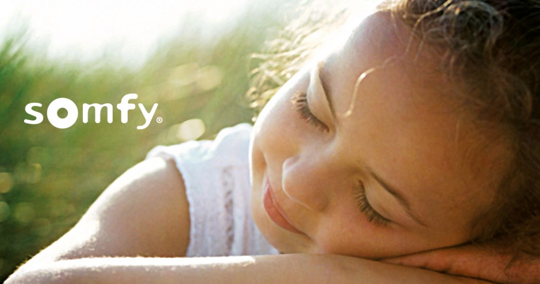 Somfy Marketing Collaterals and POS System Design