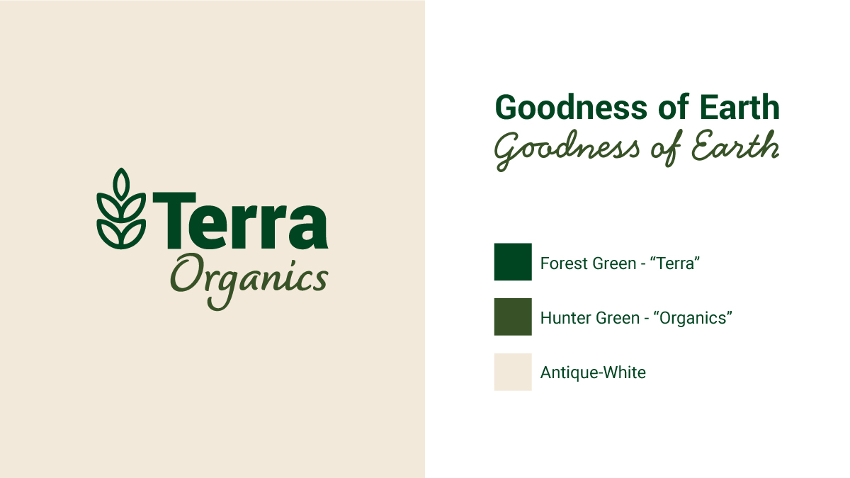 Terra Organics Brand Design Project